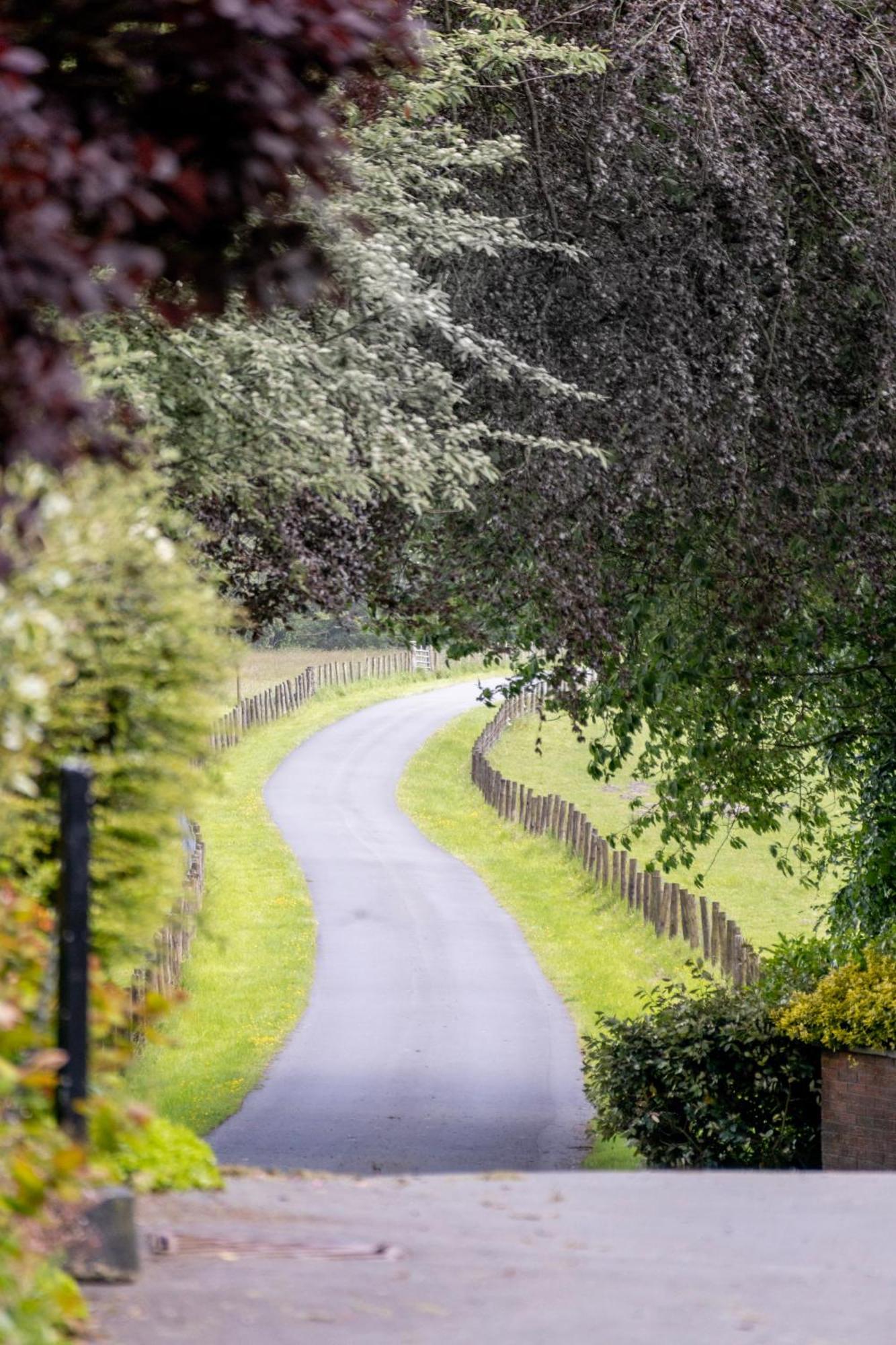 The Falcondale At Lampeter Kültér fotó