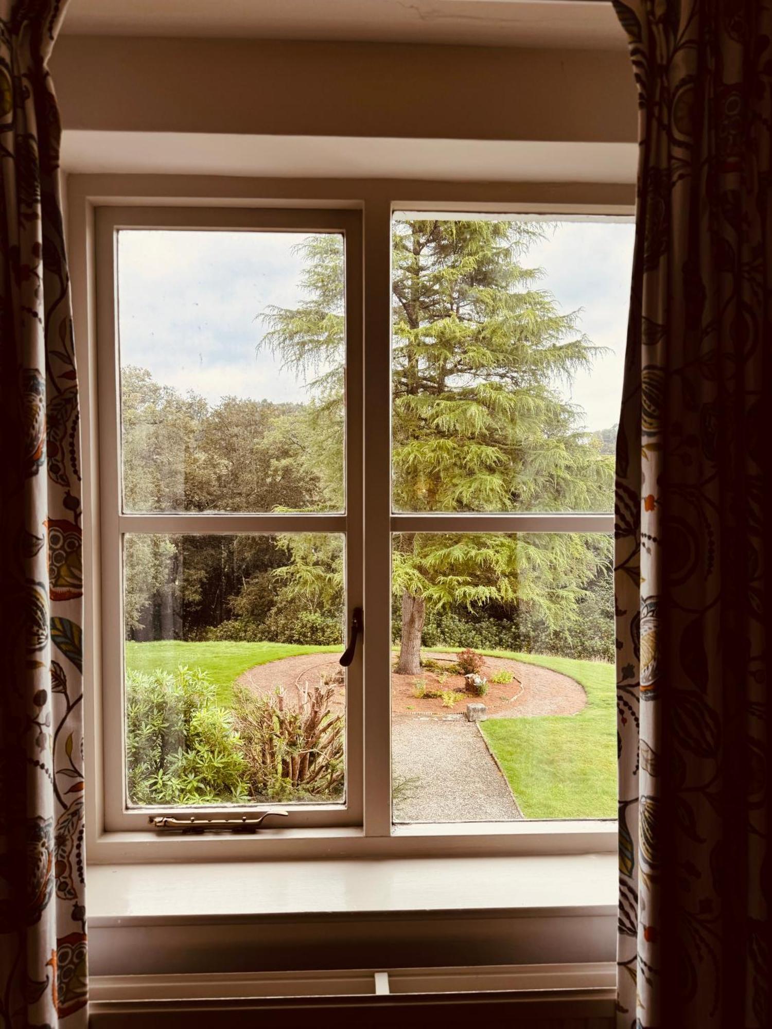 The Falcondale At Lampeter Szoba fotó